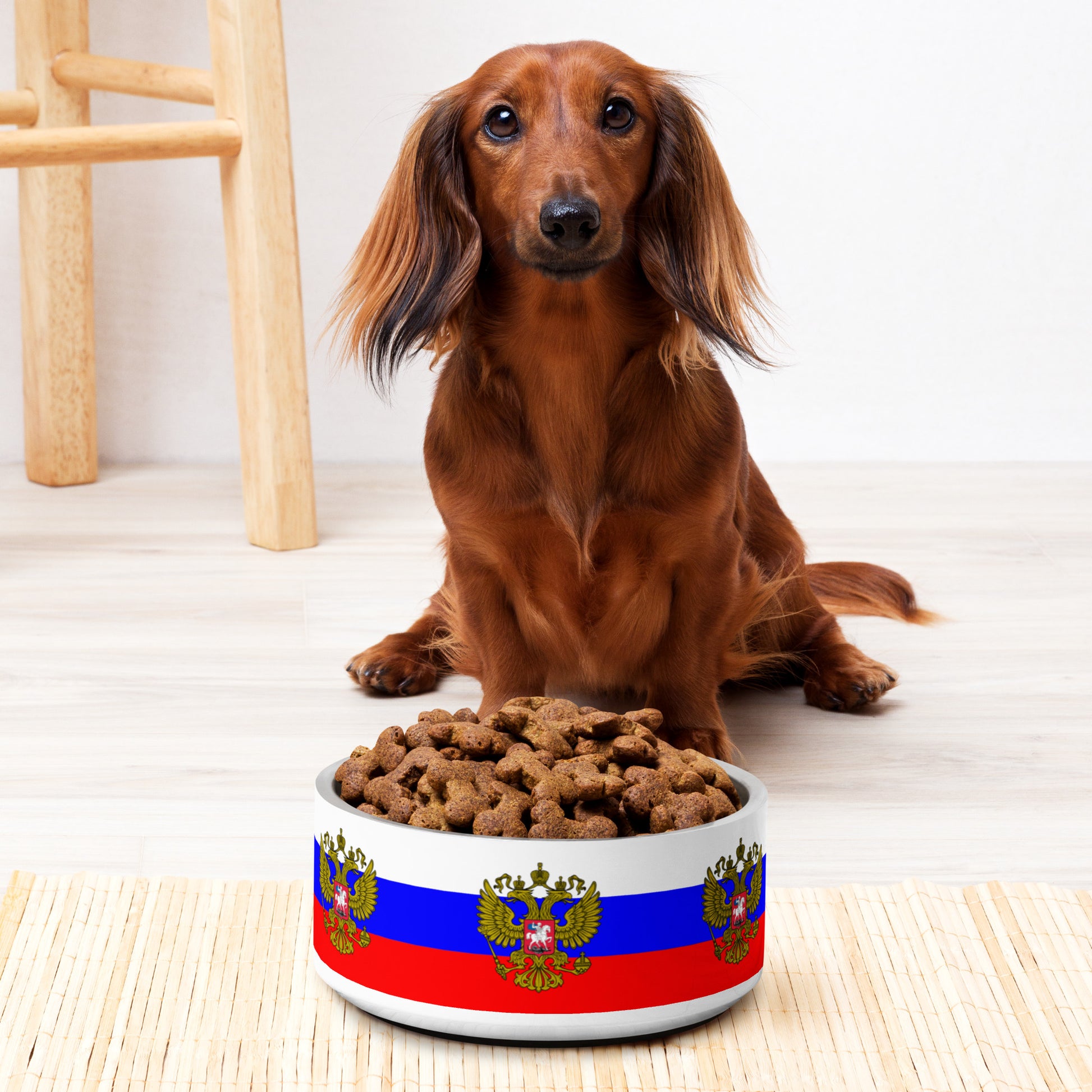 pet bowl for furry friends with russian flag and russian coat of arms aka crest dog sitting behind