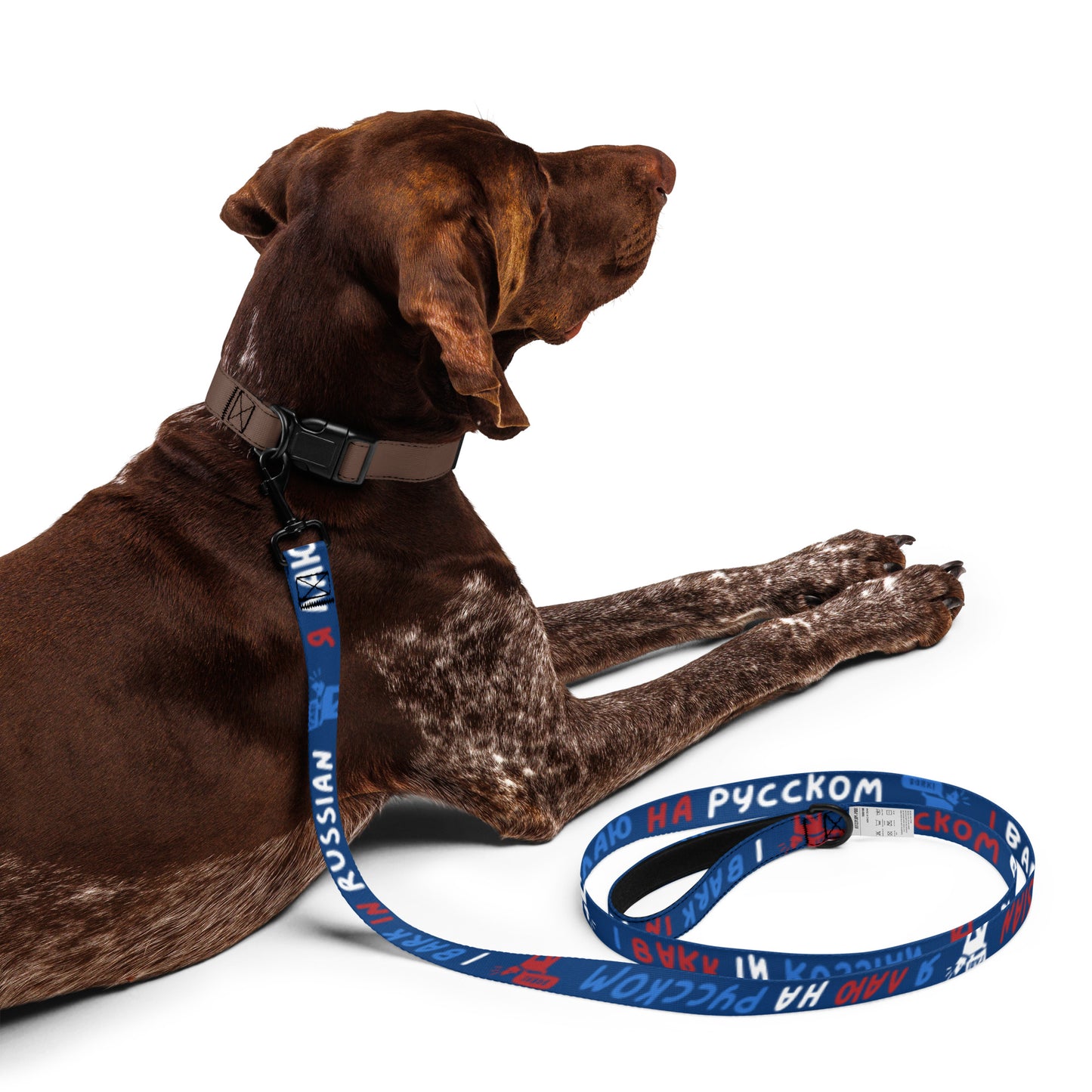 dog pet collar with I bark in Russian 